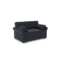 Delanie Two-Seater Sofa Bed