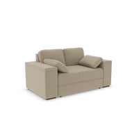 Two Seater Sofa Bed